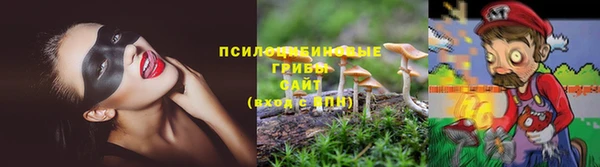 тгк Заволжье