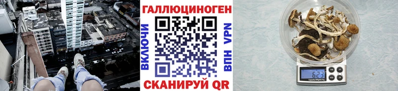 Купить закладки  Вольск  Галлюциногенные грибы Psilocybe 